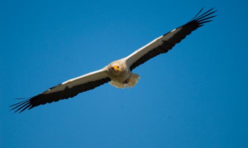 ECOTURISMO CUENCA