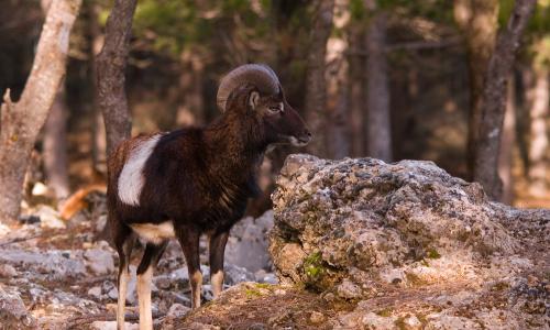 Vive tu espacio: actividades organizadas en la naturaleza
