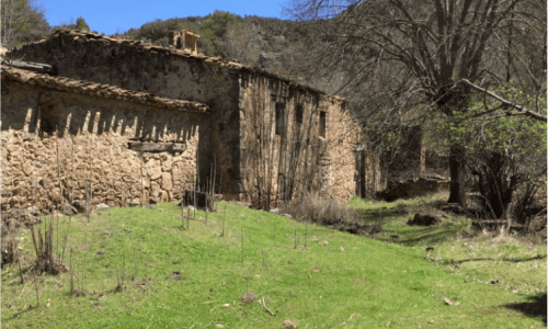 Reservas de la Biosfera